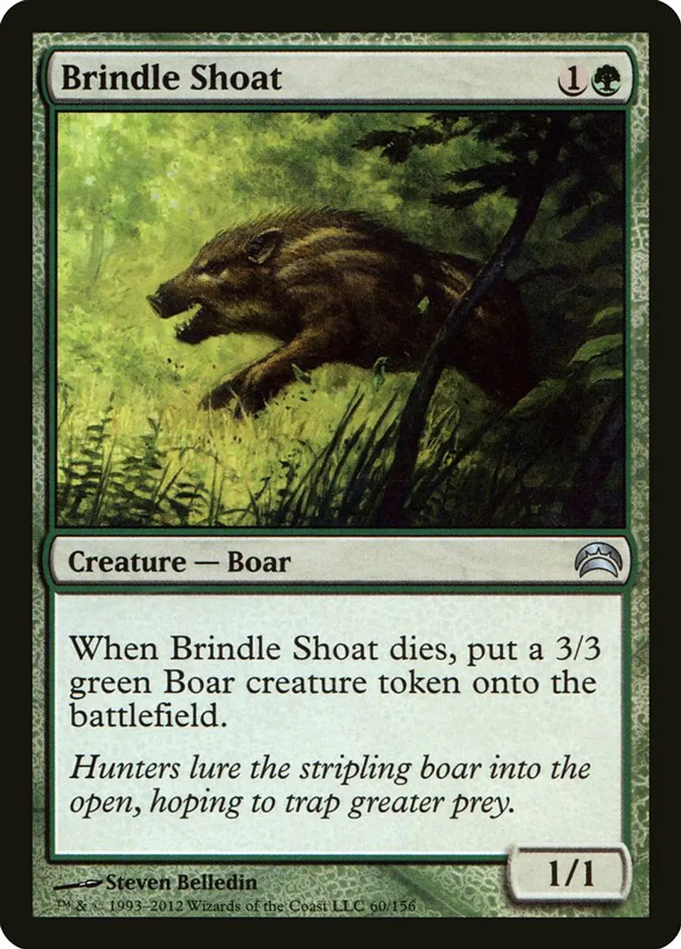 Brindle Shoat 1