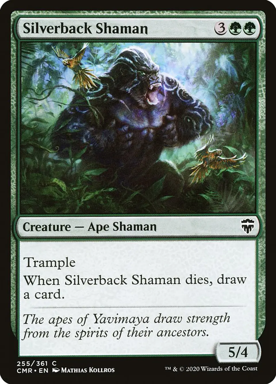 Silverback Shaman 1