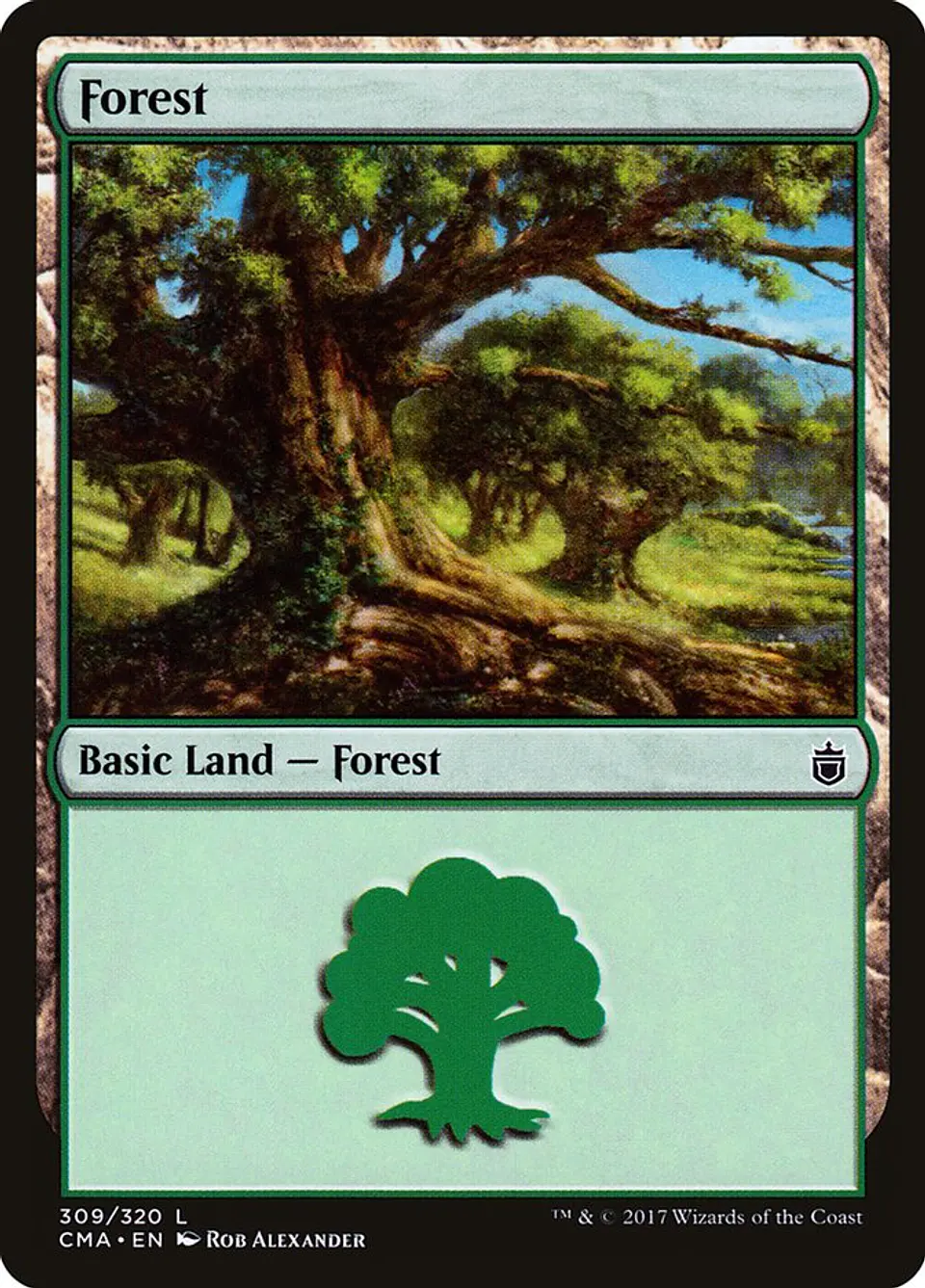 Forest 1