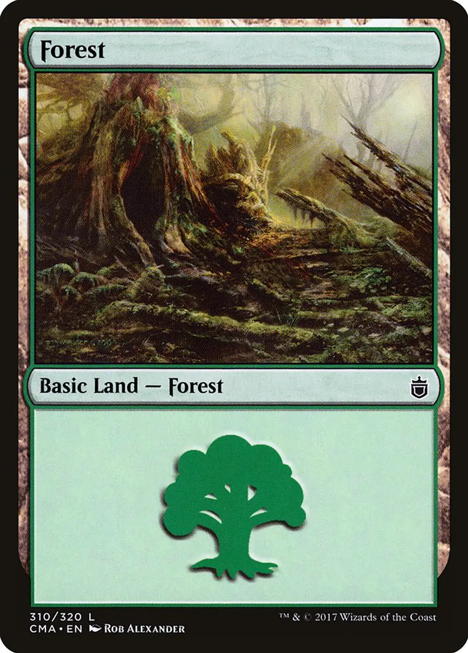 Forest 1