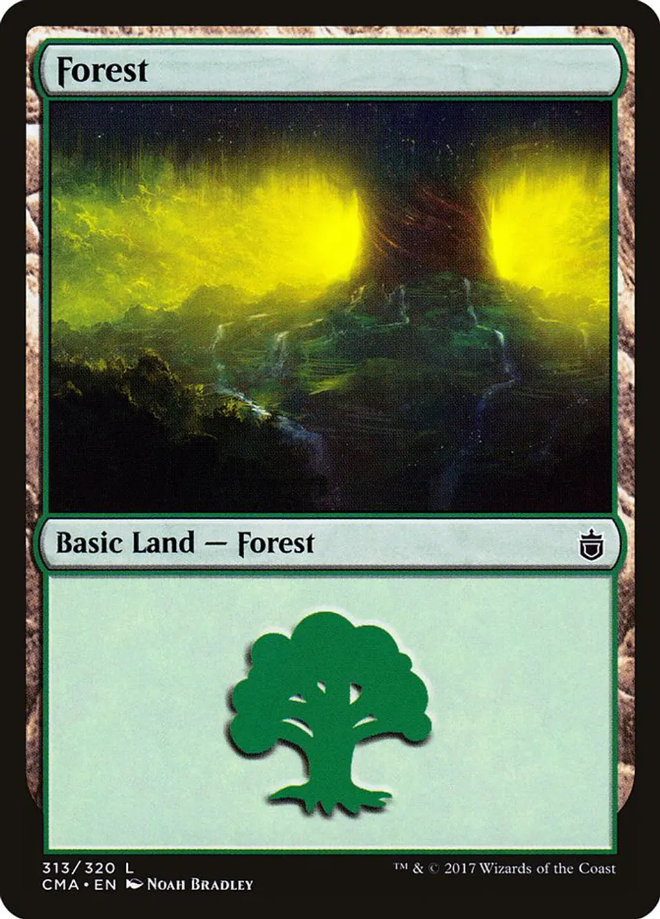 Forest 1