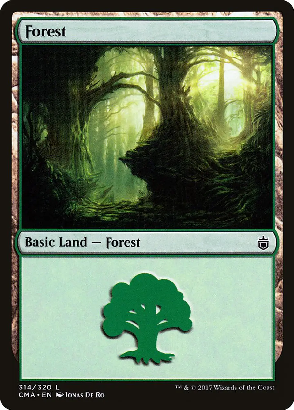 Forest 1