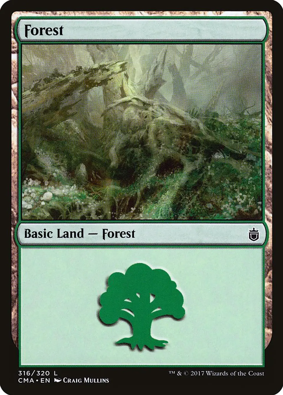 Forest 1
