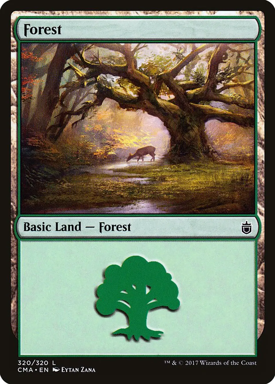 Forest 1