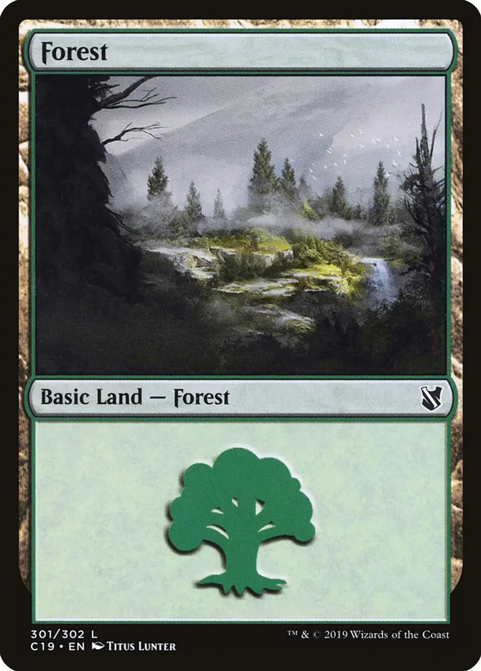 Forest 1