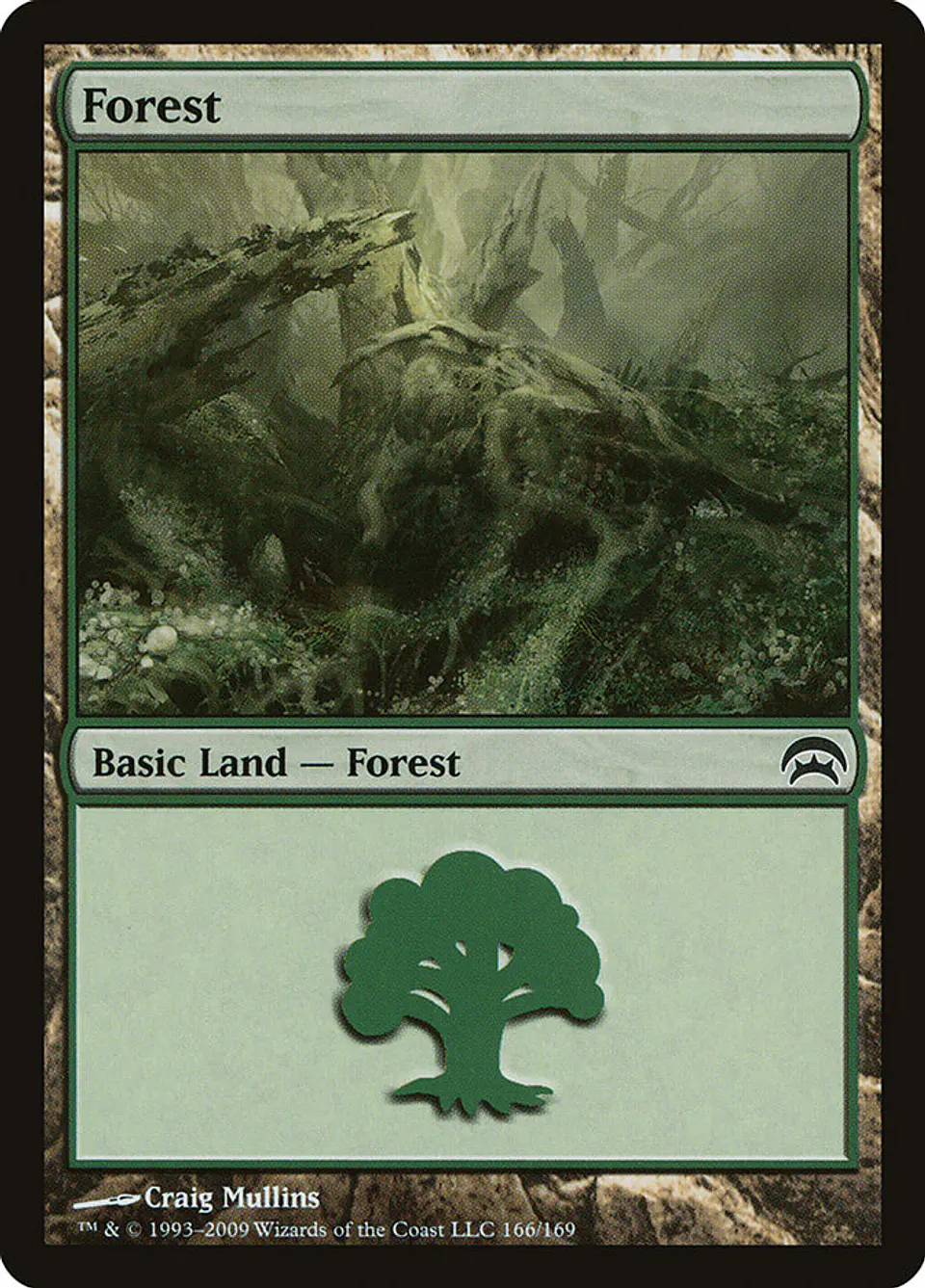 Forest 1
