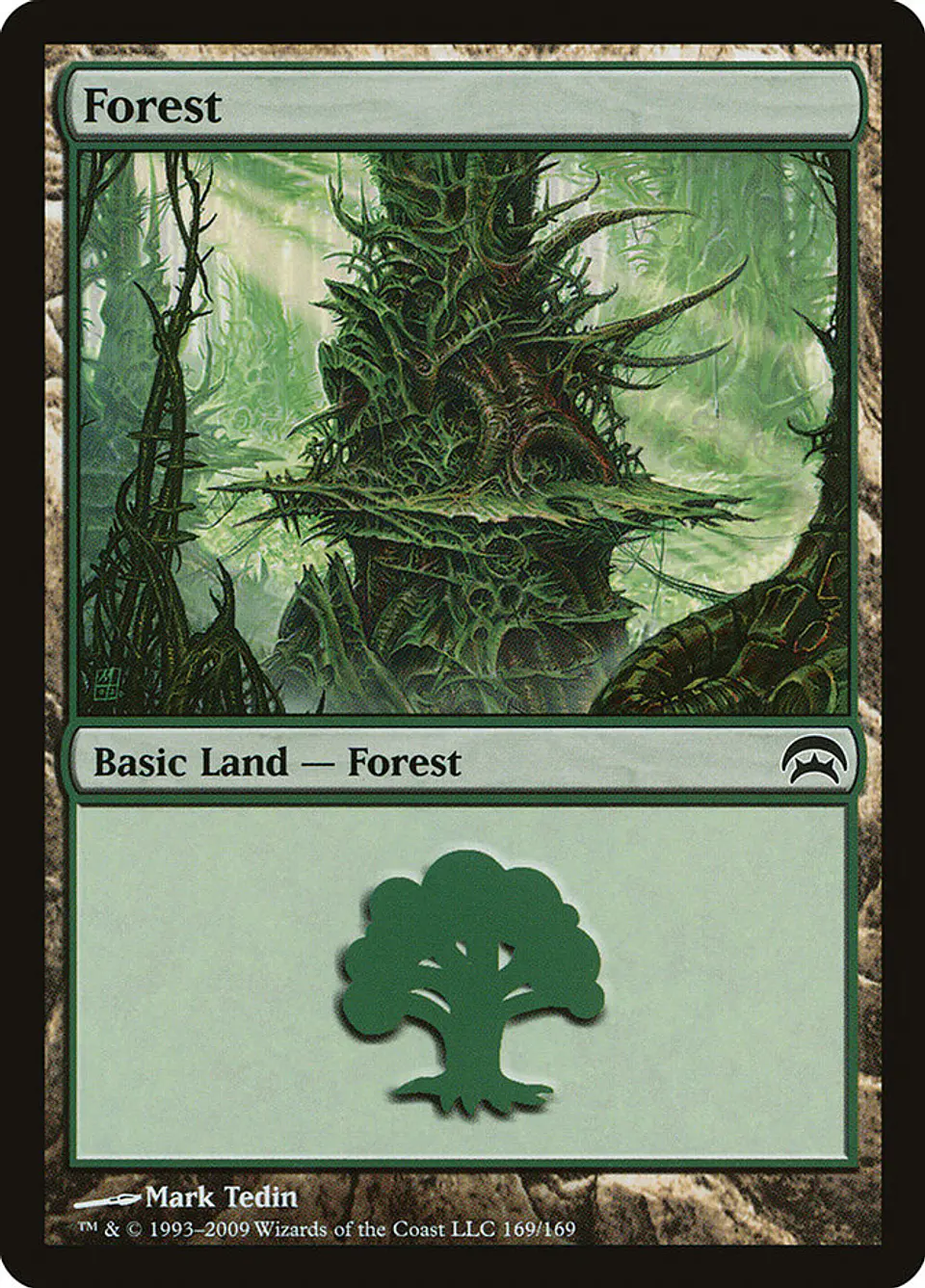 Forest 1
