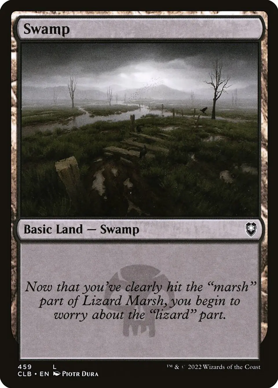 Swamp 1