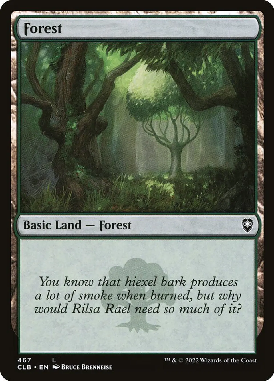 Forest 1