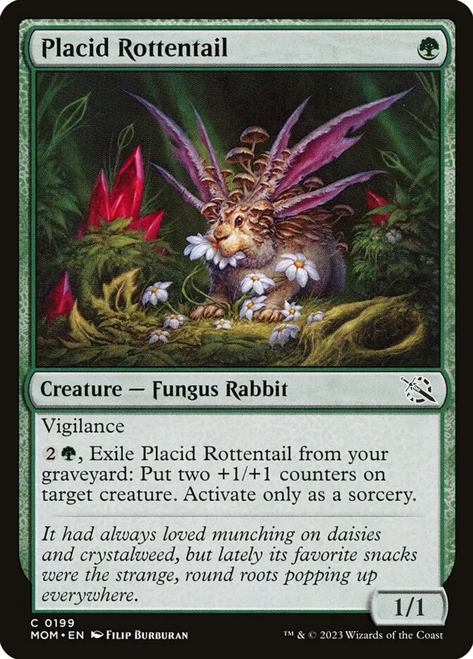 Placid Rottentail 1