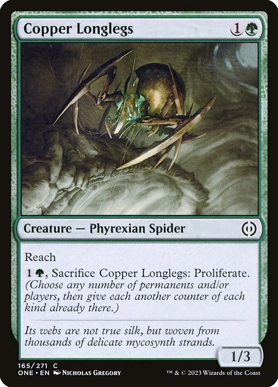 Copper Longlegs 1