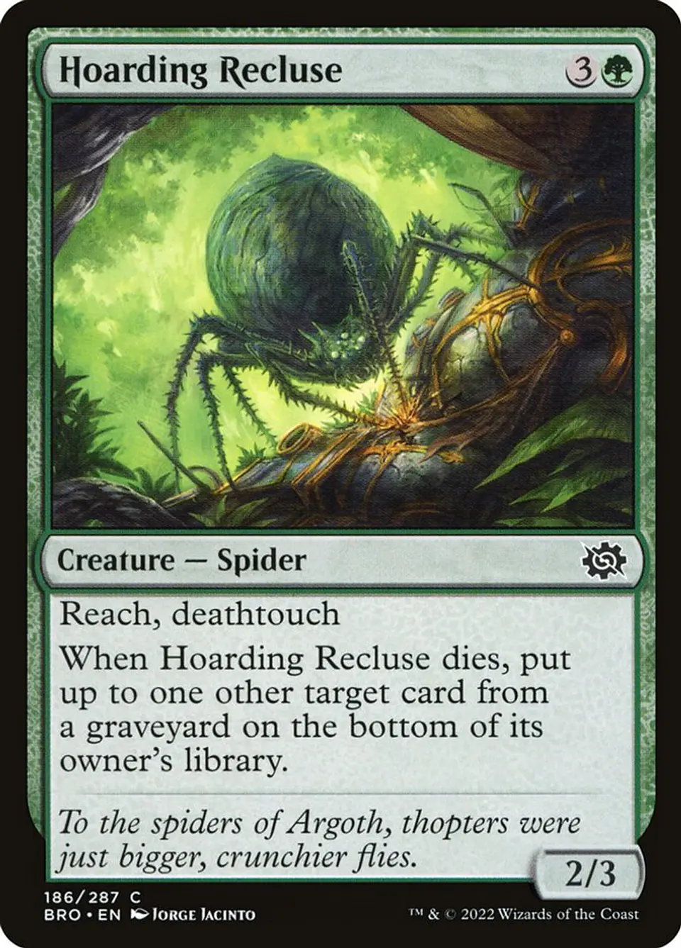Hoarding Recluse 1