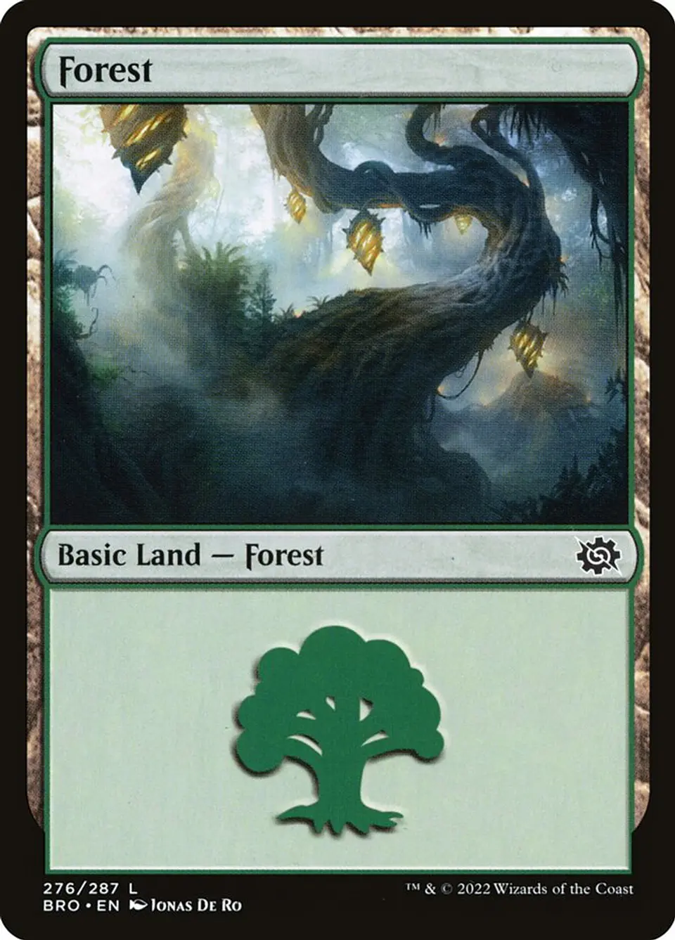 Forest 1