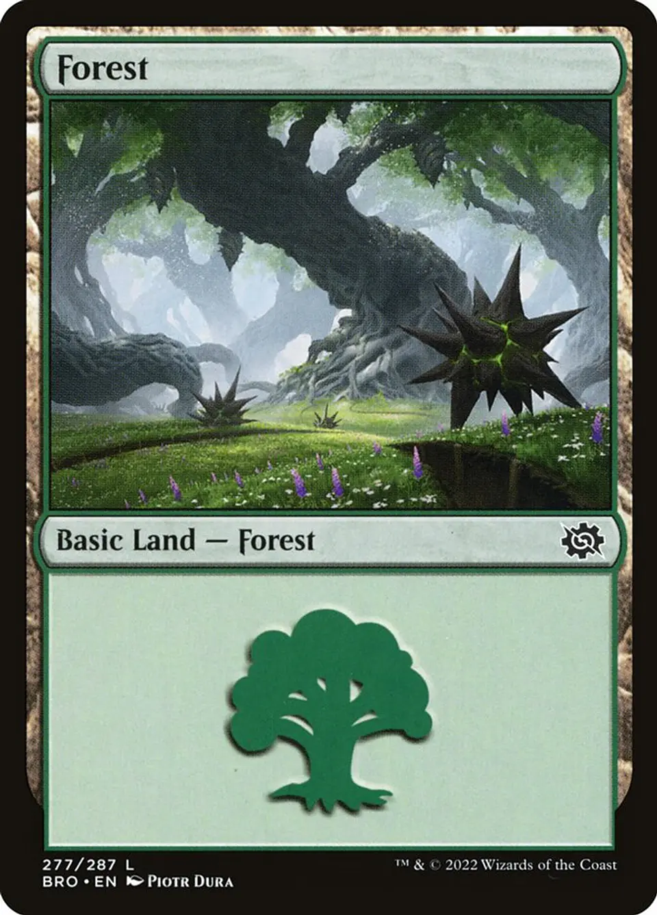 Forest 1