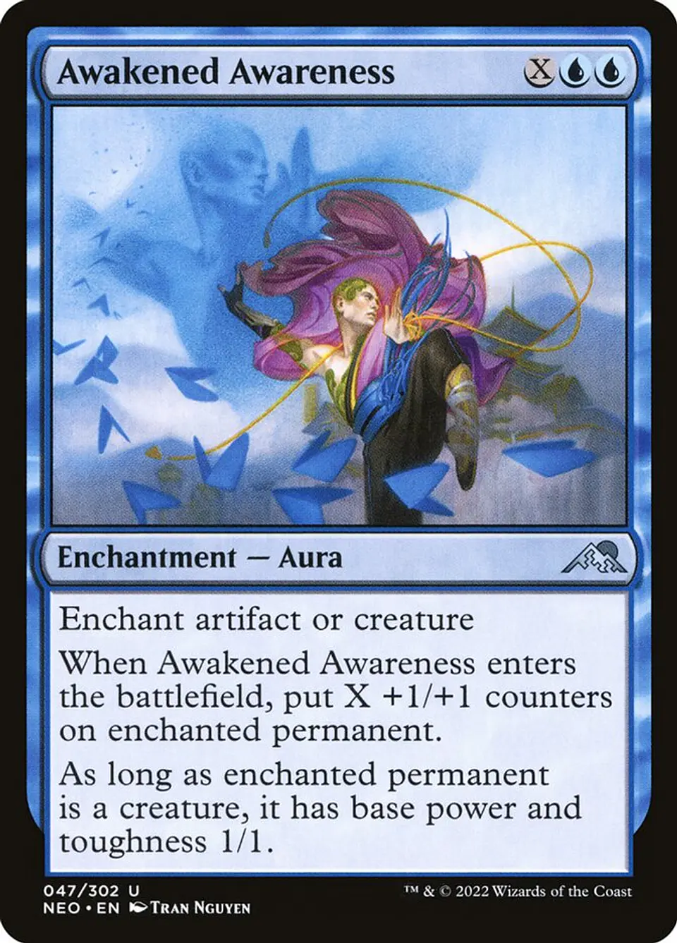 Awakened Awareness 1