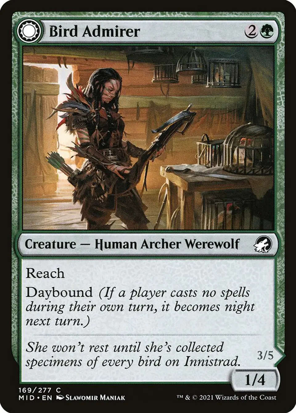 Bird Admirer // Wing Shredder 1