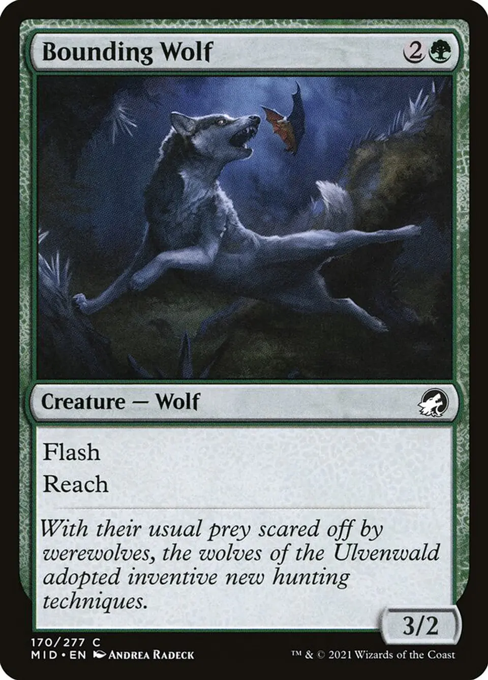 Bounding Wolf 1