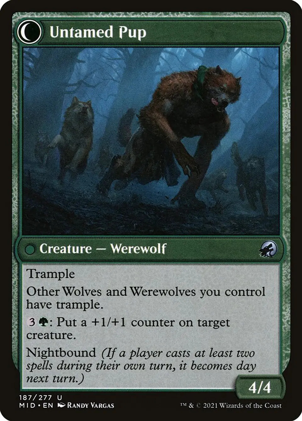 Hound Tamer // Untamed Pup 2