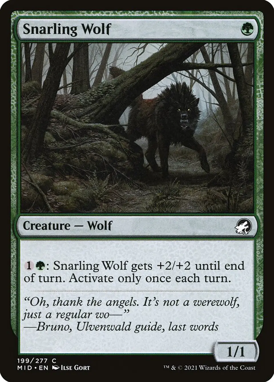 Snarling Wolf 1