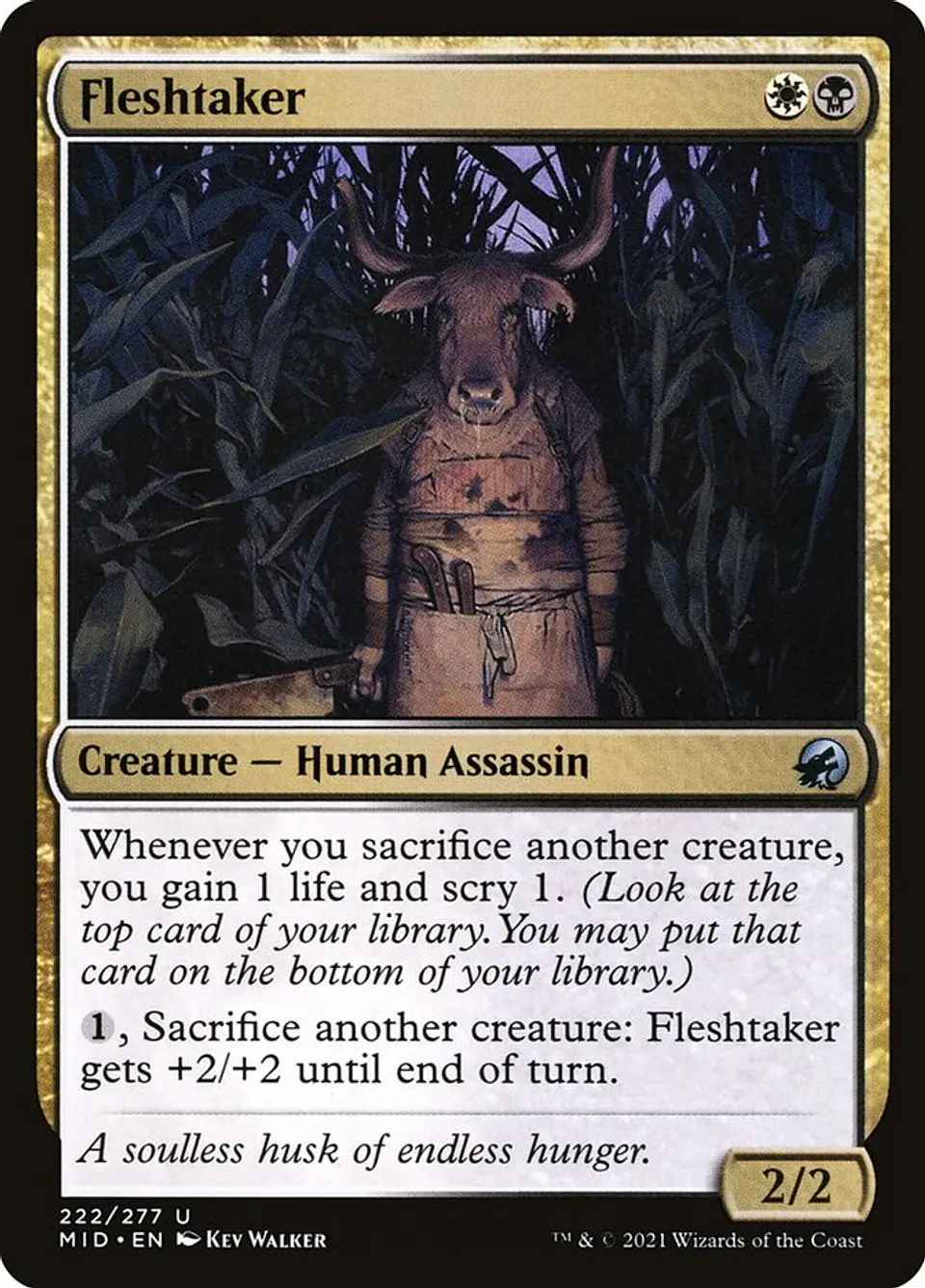 Fleshtaker 1
