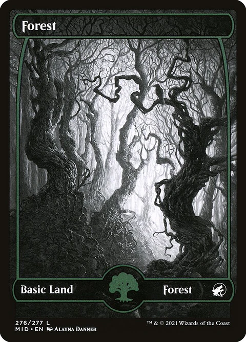 Forest (Showcase)