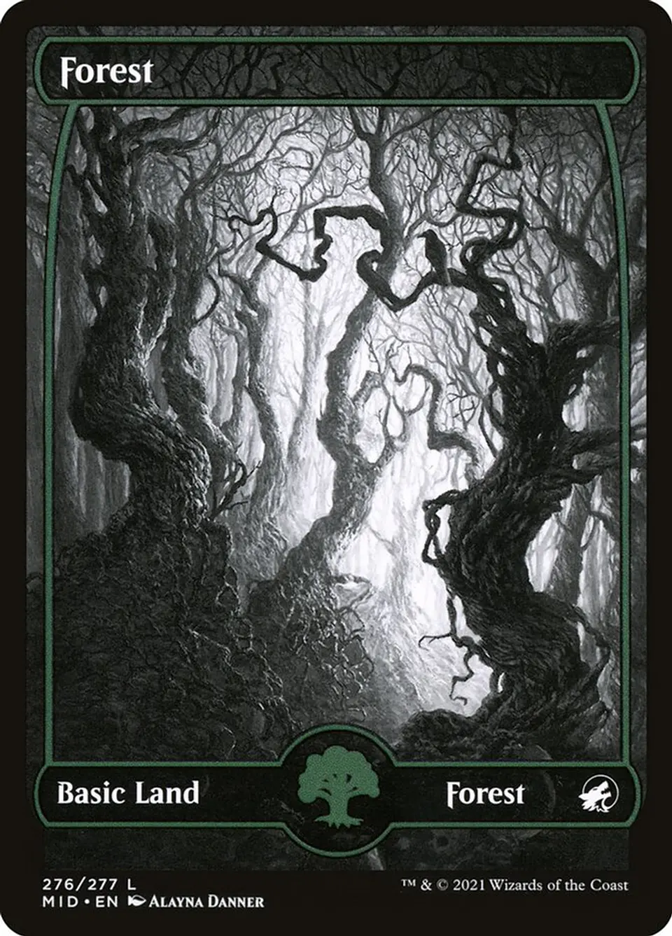 Forest (Showcase) 1