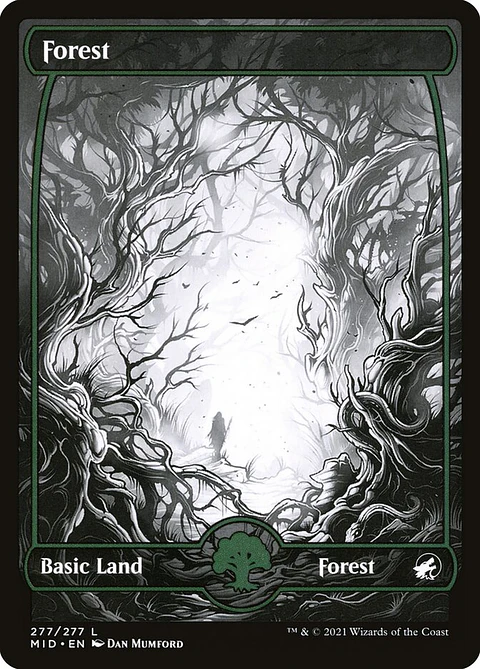 Forest (Showcase)