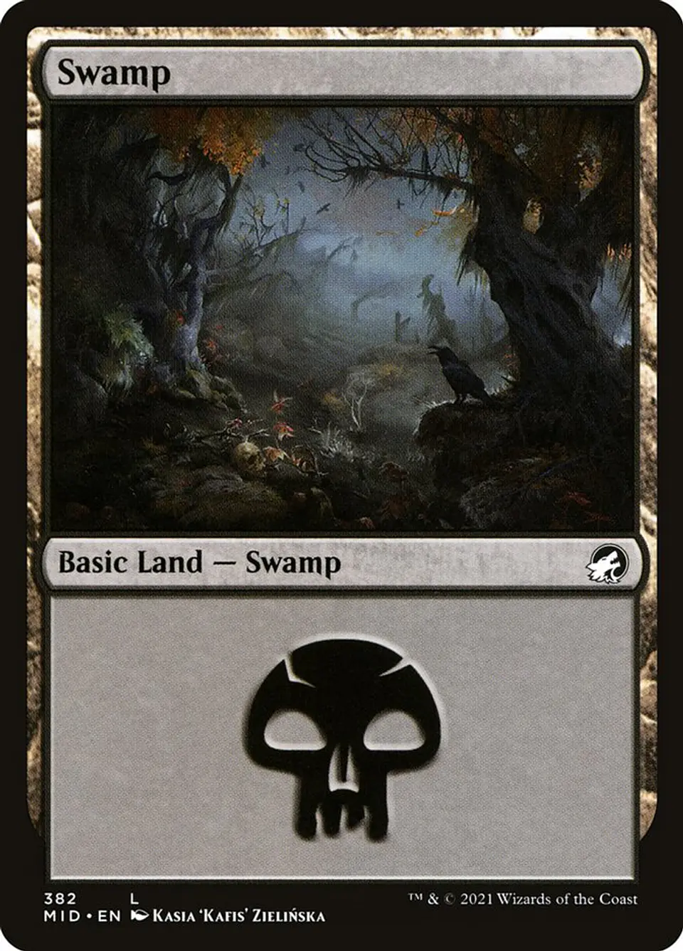 Swamp 1