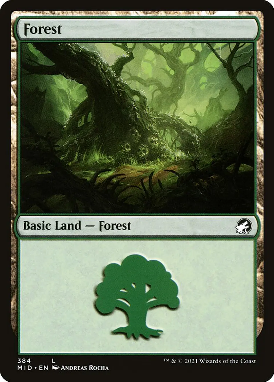Forest 1