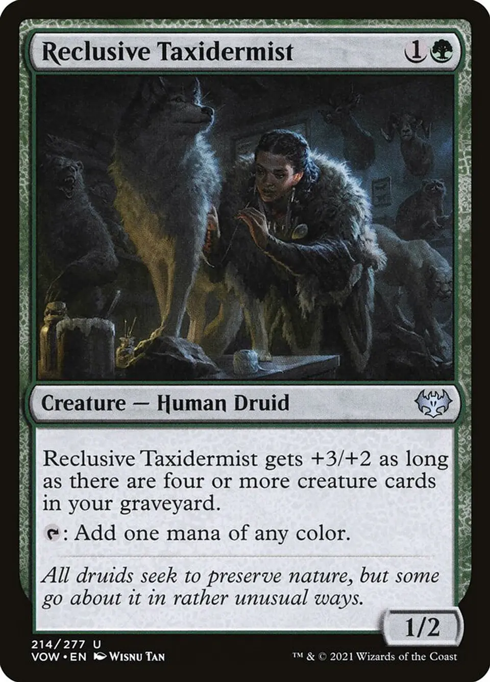 Reclusive Taxidermist 1