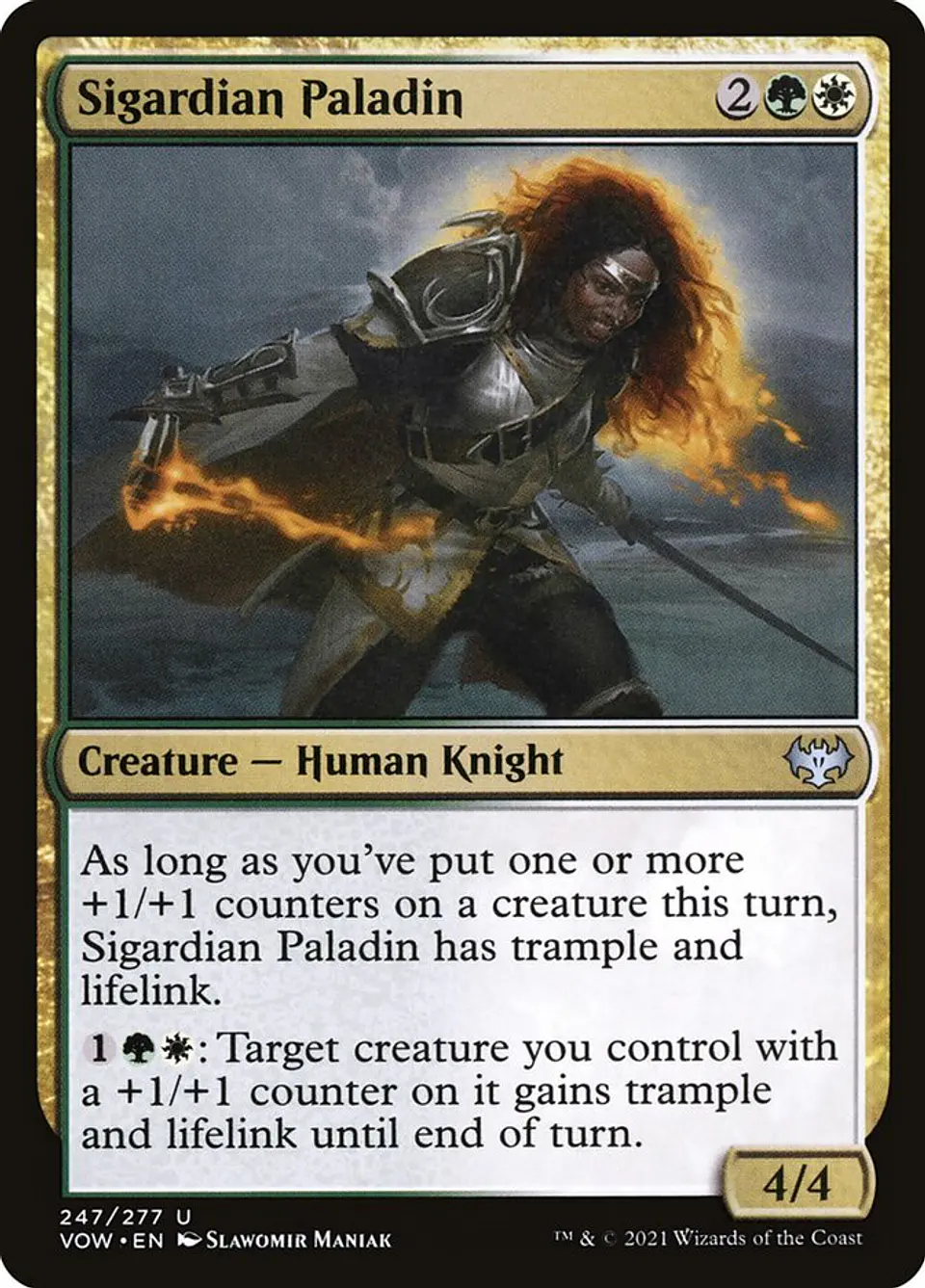 Sigardian Paladin 1