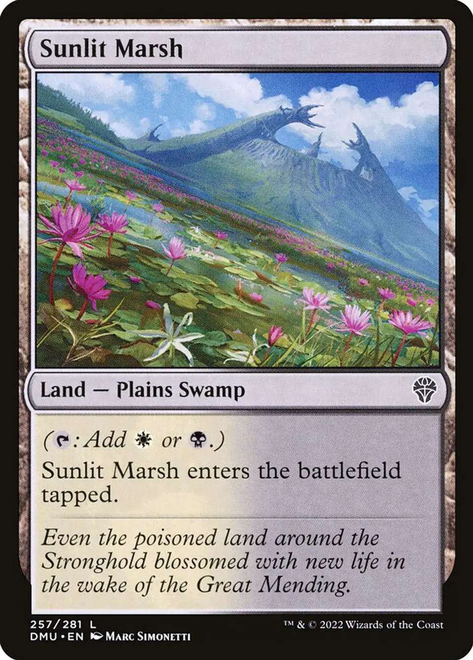 Sunlit Marsh 1