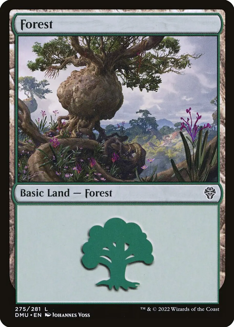 Forest 1