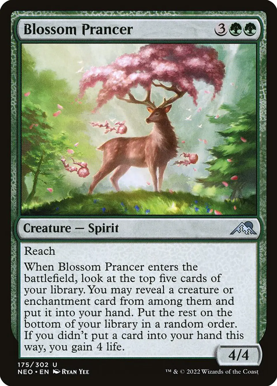 Blossom Prancer 1