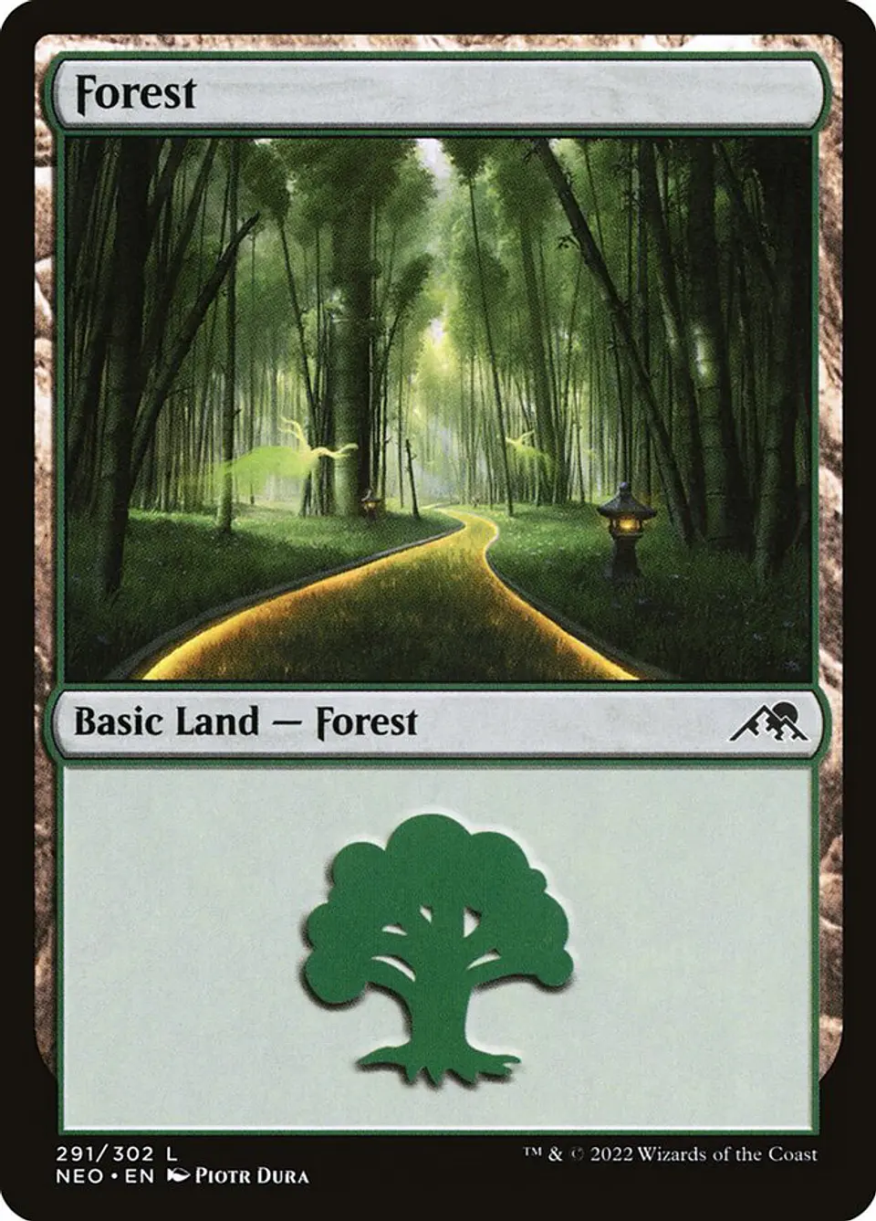 Forest 1