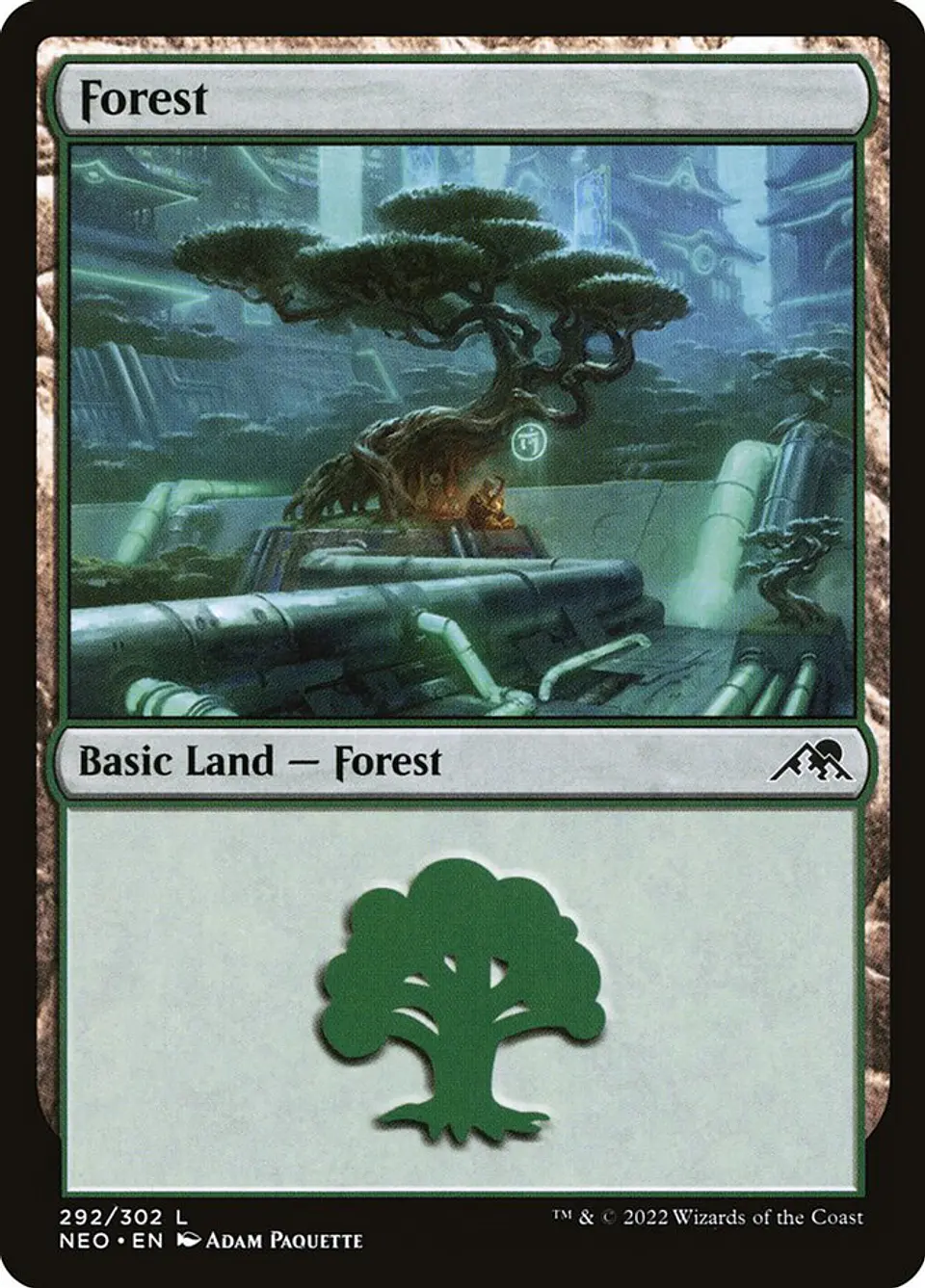 Forest 1