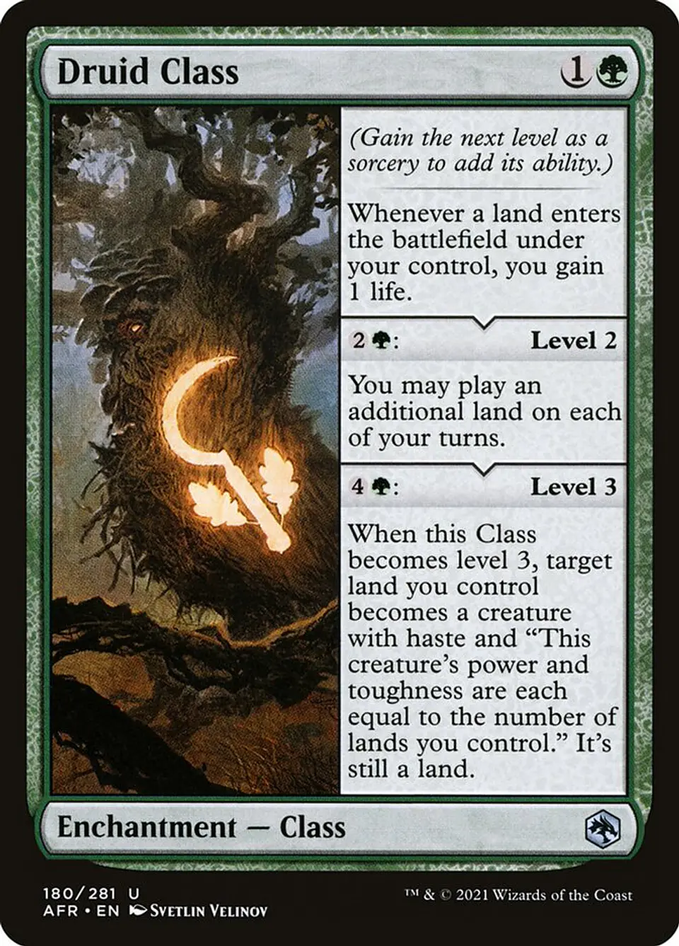 Druid Class 1