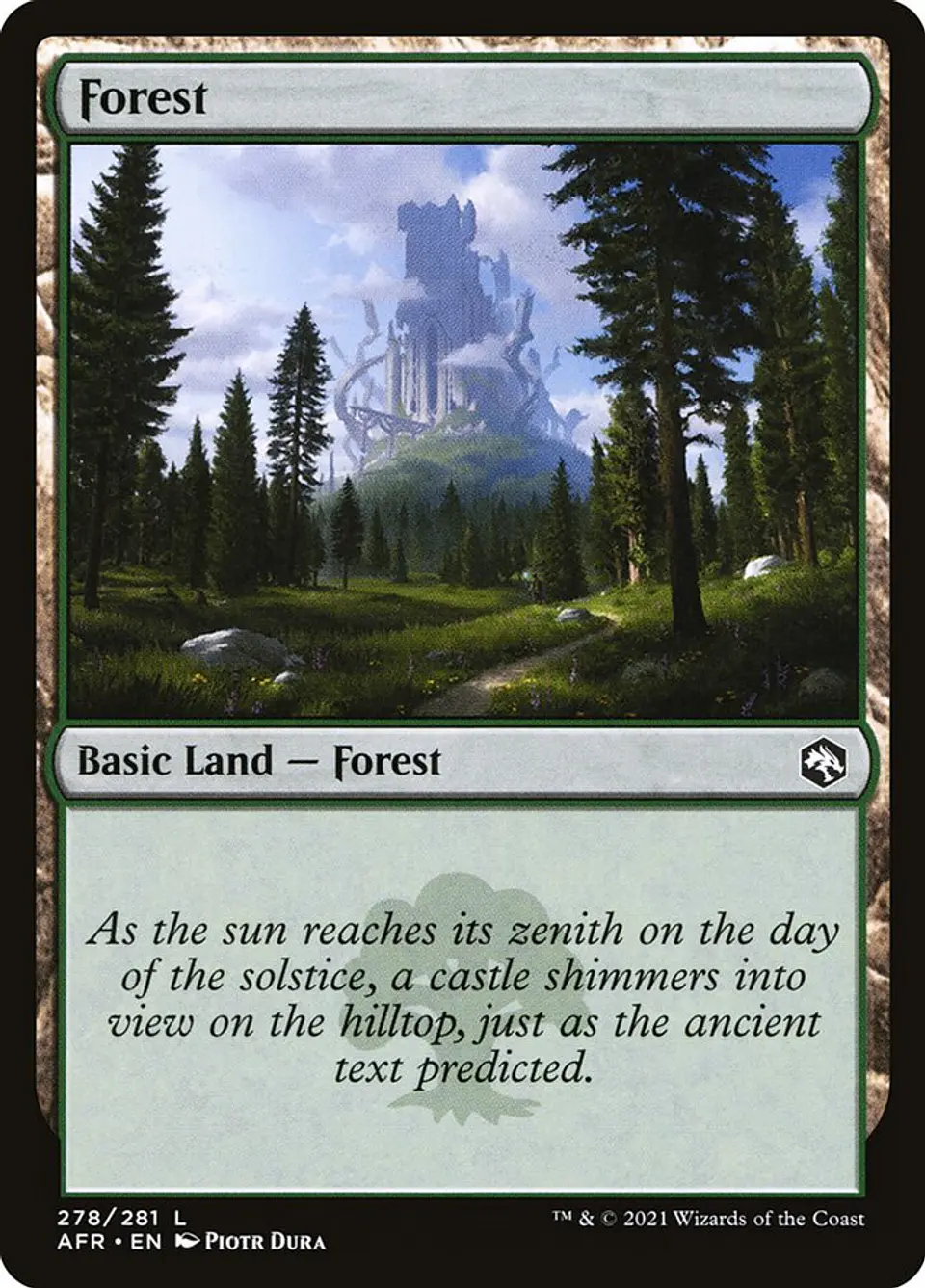 Forest 1