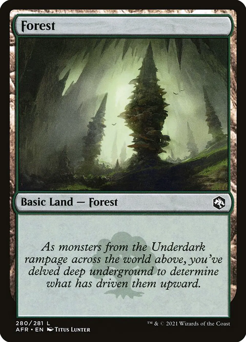 Forest 1