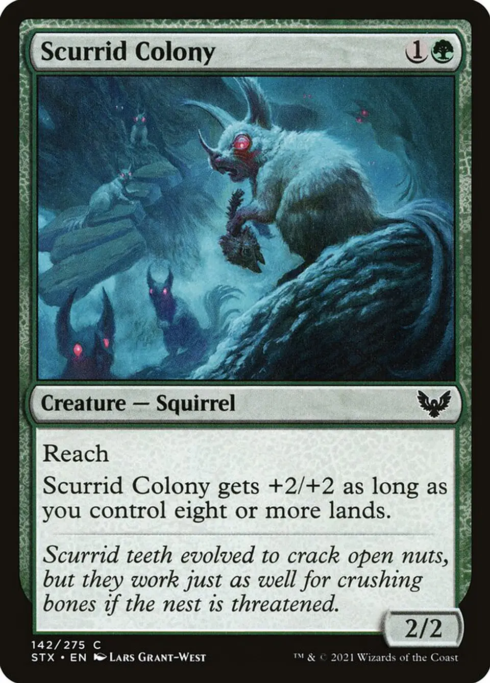 Scurrid Colony 1