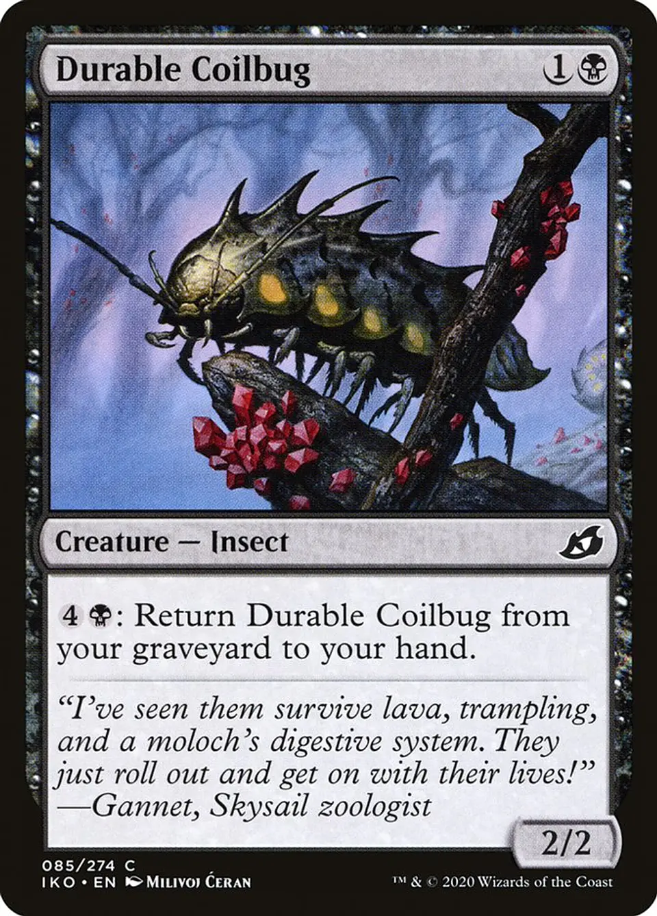 Durable Coilbug 1