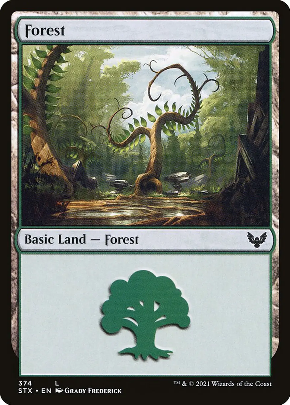Forest 1