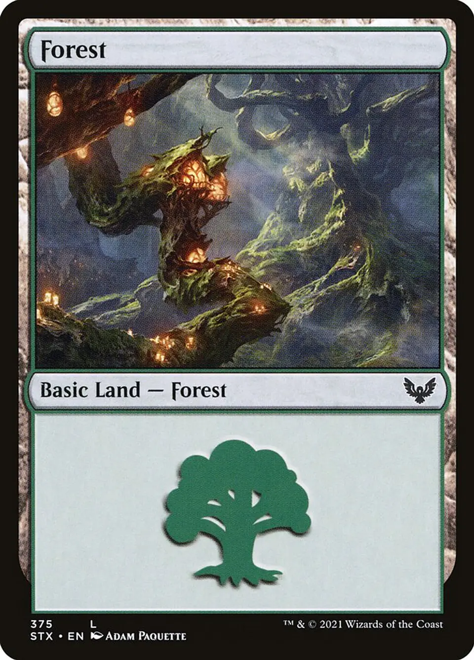 Forest 1