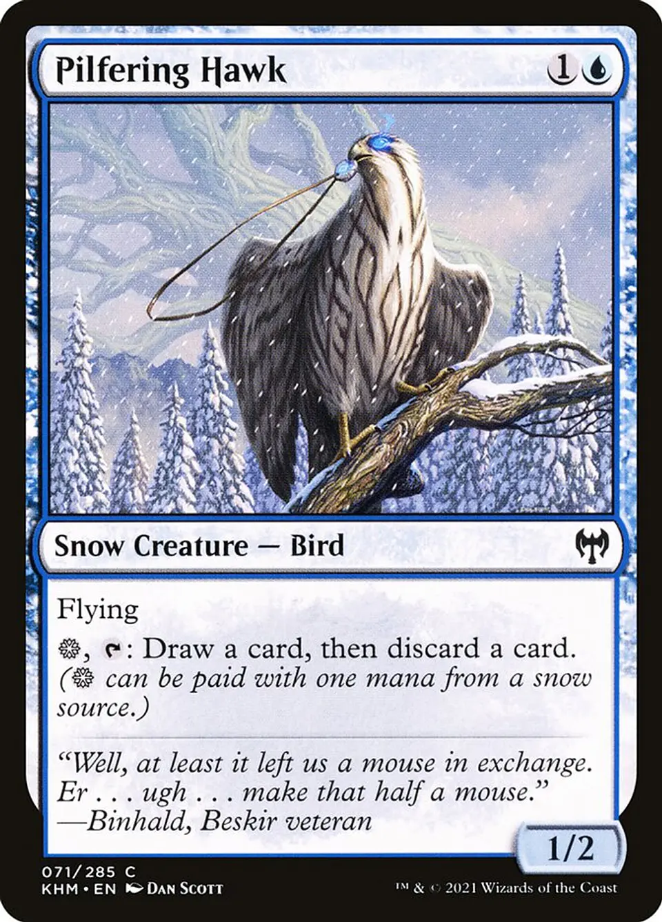 Pilfering Hawk 1