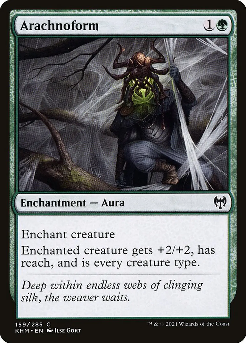 Arachnoform 1