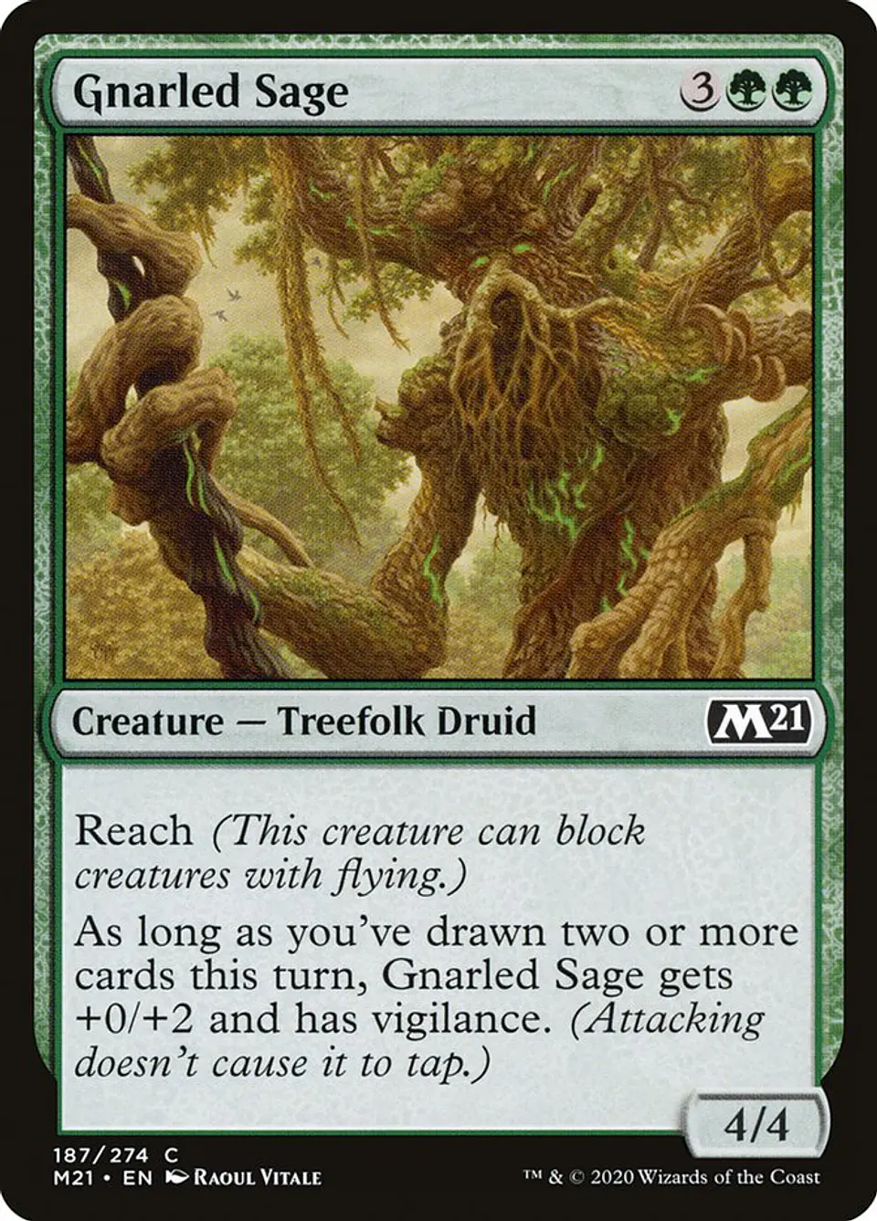 Gnarled Sage 1