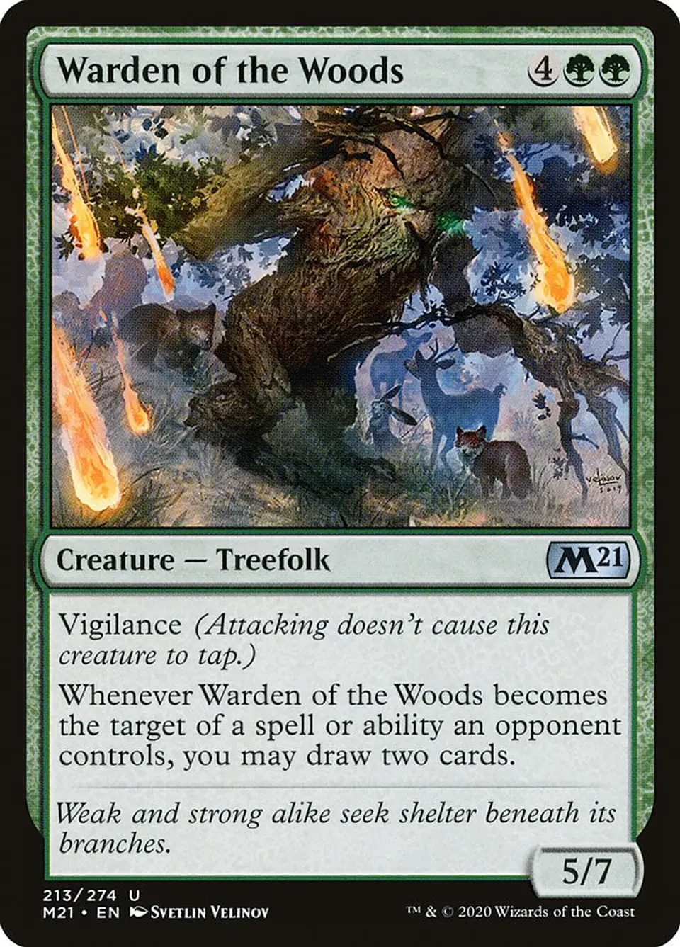 Warden of the Woods 1
