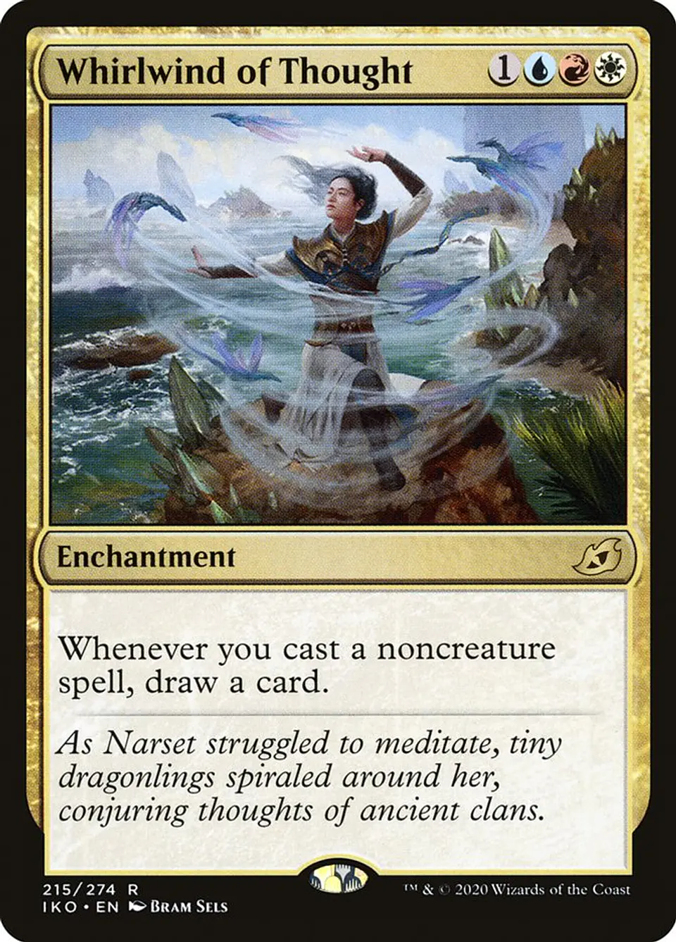 Whirlwind of Thought 1