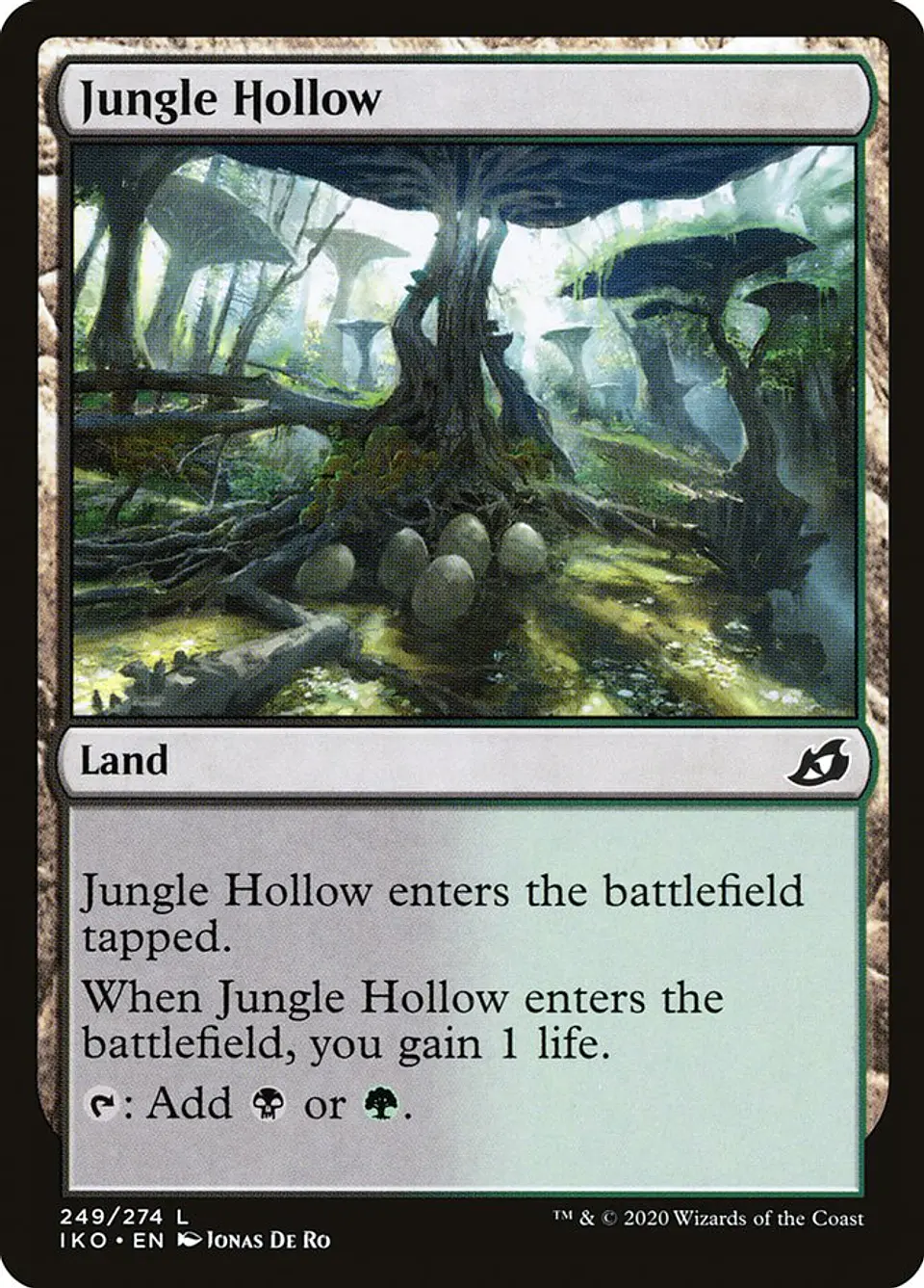 Jungle Hollow 1
