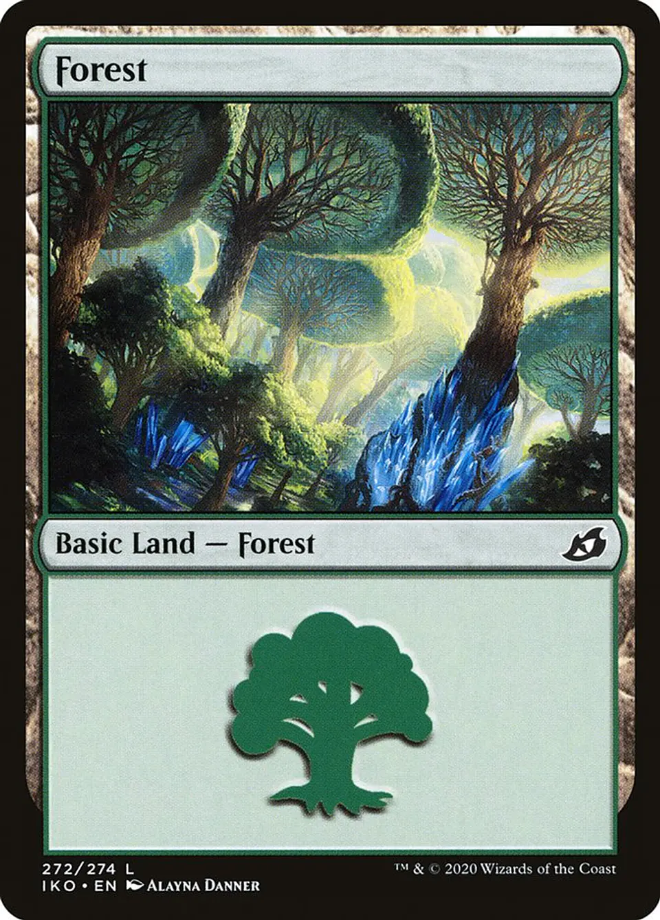 Forest 1